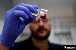 Prof Josef Hanna demonstrates the process he and his team of scientists used to develop models of early-stage human embryos, in a laboratory at the Weizmann Institute of Science in Rehovot, Israel September 7, 2023. (REUTERS/Amir Cohen)