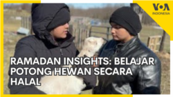 Belajar Potong Hewan Secara Halal di Peternakan Ramah Keluarga