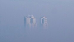 Toxic ອະທິບາຍກ່ຽວກັບສ່ວນປະກອບທີ່ເປັນພິດ ເຊິ່ງສາມາດສົ່ງຜົນກະທົບຕໍ່ຮ່າງກາຍ ແລະເຮັດໃຫ້ເສຍຊີວິດ