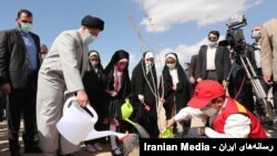 رئیسی یک اصله نهال کاشت