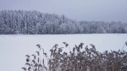 Estonia Bolstering Security With New High-Tech Border 