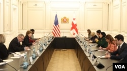 სენატორები ჯინ შაჰინი და დიკ დურბინი თბილისში