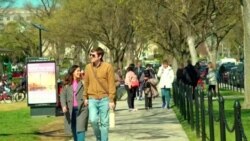 A Washington D.C., Moins de fleurs de cerisiers, mais toujours une ville vibrante