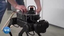 Un chien-robot pour les malvoyants