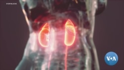 የኩላሊት ጤና