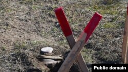 Mina (Mənbə: ANAMA)