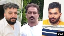 مجید کاظمی، سعید یعقوبی و صالح میرهاشمی