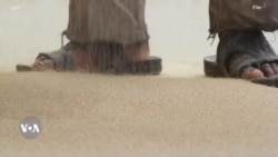 የጤፍ ዋጋ በ11 ወራት ከሁለት ዕጥፍ በላይ መጨመሩ ተጠቆመ