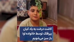 کاشت درخت به یاد کیان پیرفلک توسط خانواده‌او؛ باز سبز می‌شویم