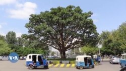 Jiraattonni Magaalaa Adaamaa Prezidaantiin Ameerikaa Dorgommii Filannoo Keessaa Of Baasuun Ejjennoo Sirriidha, Jedhan