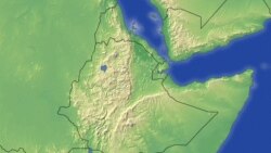 ምስራቅ ወለጋ ውስጥ በመኪና አደጋ የ43 ሰዎች ሕይወት ማለፉን ወረዳው አስታወቀ