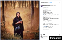 پست منتشر شده در صفحه اینستاگرام امجد امینی