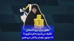 معاون وزیر نیرو: احساس تکلیف می‌کنیم؛ به فرزندآوری تا ۱۸ میلیون تومان پاداش می‌دهیم 