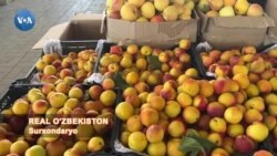 Bugungi Termiz: Bozorlar, qurilishlar 