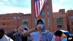 Պաղեստինամետ ցույցեր