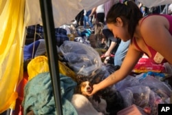 A dog, evacuated from an area flooded by heavy rains, is caressed by a volunteer at a shelter in Canoas, Rio Grande do Sul state, Brazil, May 9, 2024.