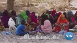 በአፋር ክልል መጋሌ ወረዳ የምግብ እጥረት ለሞት የሚዳርግ የጤና ችግር እንዳስከተለ ተገለጸ