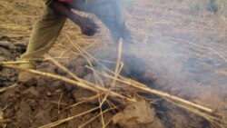 La demande de charbon de bois: le dilemme climatique brûlant du Nigeria