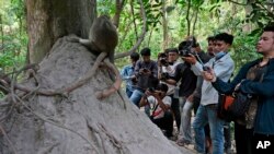 Local YouTubers take videos of monkeys near Bayon temple, at Angkor Wat temple complex in Siem Reap province, Cambodia, Apr. 2, 2024.