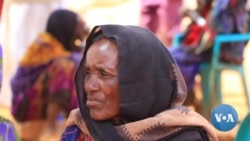 የቦረና ድርቅ በመቶ ሺሆች አፈናቅሏል