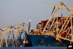 Burung bangau berdiri saat puing-puing Jembatan Francis Scott Key bersandar di kapal kontainer Dali di Baltimore, Maryland, 30 Maret 2024, di Baltimore. (Foto: AP)