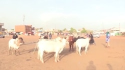 Le festival Kaoural Suudu Baaba : la culture peule célébrée à Bamako