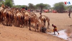 អង្គការមនុស្សធម៌ Mercy Corps និងពលរដ្ឋកេនយ៉ានៅតំបន់ជនបទ រួមគ្នាប្រយុទ្ធប្រឆាំងបម្រែបម្រួលអាកាសធាតុ