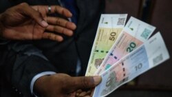 Udaba Esilwethulelwe NguGibbs Dube