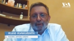 დარჩიაშვილი: "პოლტიკური ელიტა მზად არის გასწიროს ინსტიტუტები"