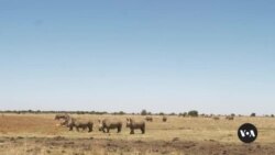 South African journalists winning battles in war against environmental crime