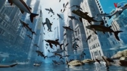 បច្ចេកវិទ្យា AI ថ្មី​បំផុតគឺ​បង្កើត​វីដេអូ​ដូច​រូបពិតគុណភាព​ខ្ពស់ចេញ​ពីពាក្យ​ខ្លីៗ