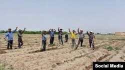 Nadarlı kəndi, Şəbistər, Şərqi Azərbaycan vilayəti