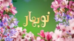ویژه برنامه «نوبهار» صدای آمریکا از ۱ تا ۹ صبح اول فروردین ۱۴۰۳