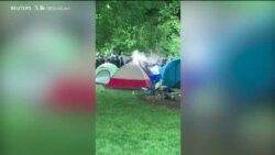 Protestat pro-palestineze mund të ndikojnë në zgjedhjet e nëntorit për Shtëpinë e Bardhë 