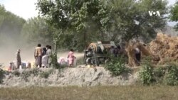 په ننګرهار کې یو شمېر کروندګر د غنمو له سږنۍ حاصلاتو خوښ نه دي