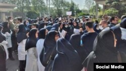 تجمع پرستاران در بابل - آرشیو