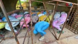 په اسلام اباد کې هنرمند جمال شاه یو شمېر غوږ نیولي انسانان د مجسمو په شکل کې د ښار په لوی اېف-ناین پارک کې کېښودې