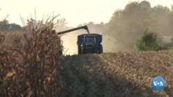 Qonunchilar Xitoyning AQSh yerlariga egalik qilishini taqiqlash payida