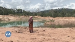 ፍርያት ካካዋ ምዕራብ ኣፍሪቃ ሕማቕ ወቕቲ የሕልፍ ኣሎ፡ እቲ ውጽኢት ኣብ ዋጋ ቸኮላታ’ዩ