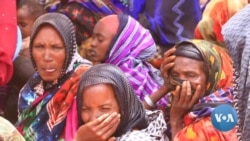 “የከብቶቻችን ዋጋ ወደቀ” የቦረና አርብቶ አደሮች