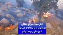 آتش‌سوزی مراتع جنگلی «زرانگوش» در ارتفاعات کبیرکوه شهرستان بدره در ایلام