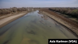 Kür çayı, Neftçala rayonu