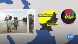 BMT: Dunyo bo'ylab qochqinlar soni 117 milliondan oshadi