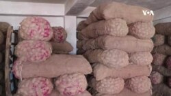 په کندهار کې د کچالو حاصلاتو ښه مارکېت موندلی دي - د سبزیو سوداګر