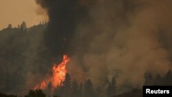 FILE — Trees catch fire during the Eagle Bluff wildfire in Osoyoos, British Columbia, Canada, July 30, 2023. 