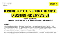 국제앰네스티 “북한, 표현의 자유 탄압 강화” … NGO 공동보고서 증가 추세