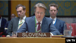 슬로베니아의 사무엘 주보가르 안보리 대사