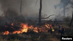 Пожарникар и доброволци гасат шумски пожар во близина на Атина, Грција, 30 јуни 2024 година