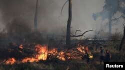 A firefighter and volunteers extinguish a wildfire burning in Stamata, near Athens, Greece, June 30, 2024.
