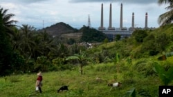 A woman leads her goats as Suralaya coal power plant looms in the background in Cilegon, Indonesia, Sunday, Jan. 8, 2023. (AP Photo/Dita Alangkara)